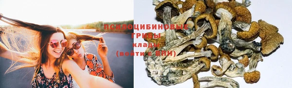 дживик Бородино
