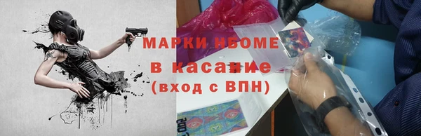 дживик Бородино