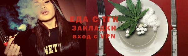дживик Бородино