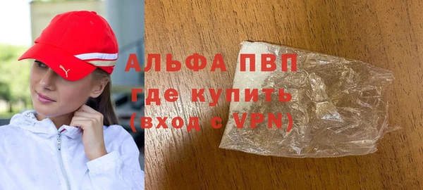дживик Бородино