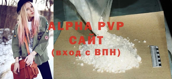 дживик Бородино