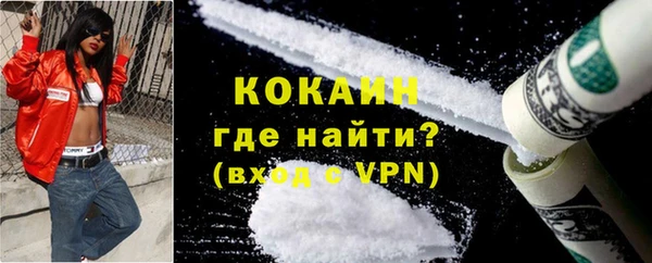 дживик Бородино
