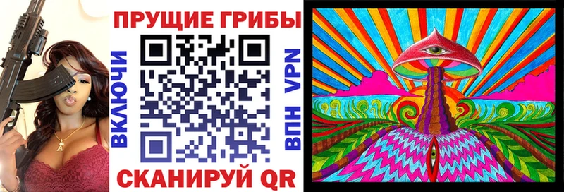 Галлюциногенные грибы Psilocybine cubensis  Междуреченск 
