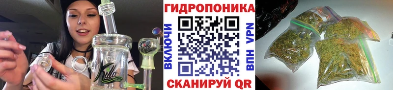 цены   Междуреченск  Каннабис VHQ 